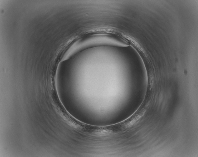 X0000078890453200611131234