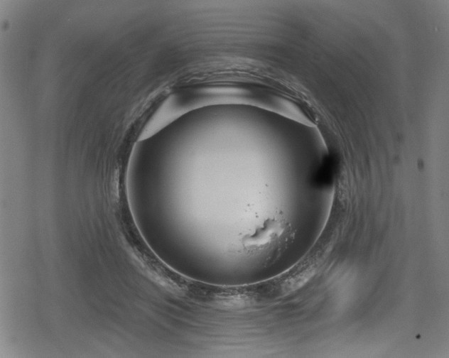 X0000078890454200611131234