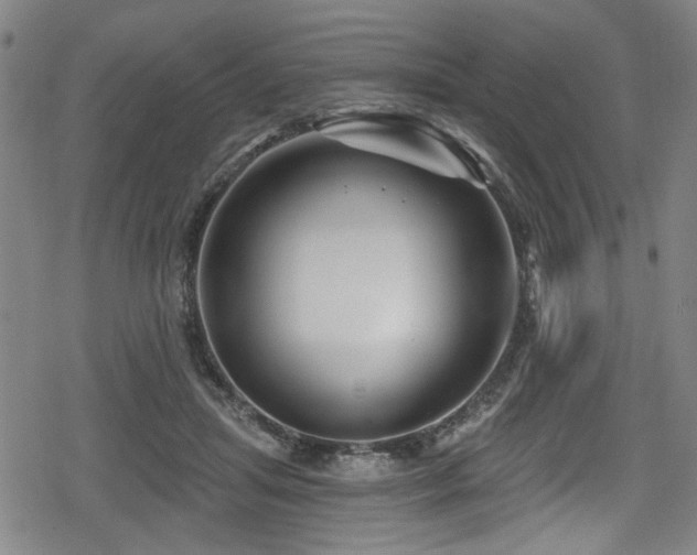 X0000078890455200611131234