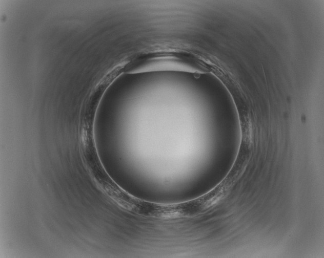 X0000078890456200611131234