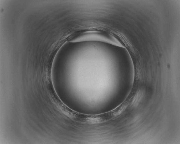 X0000078890457200611131234