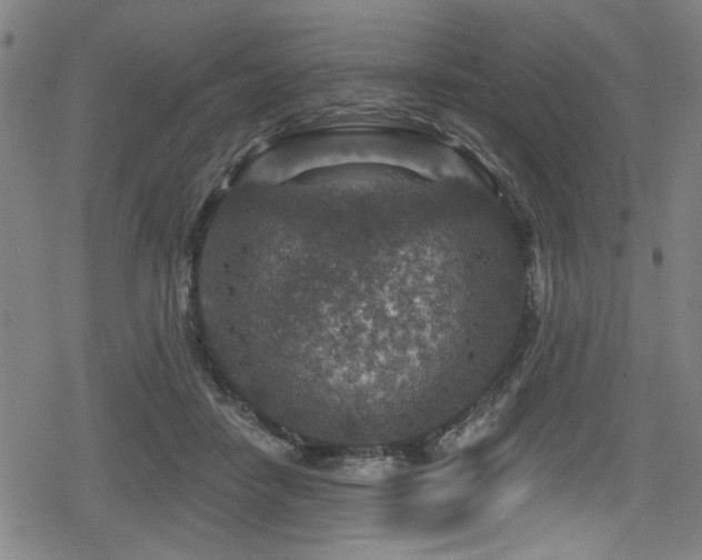 X0000078890458200611131234