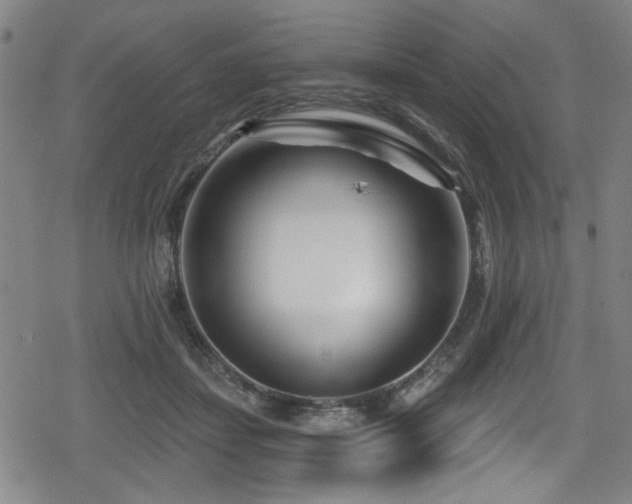 X0000078890459200611131234