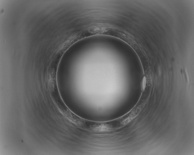 X0000078890460200611131234