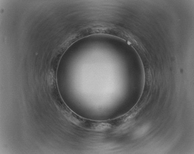 X0000078890463200611131234