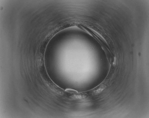 X0000078890464200611131234