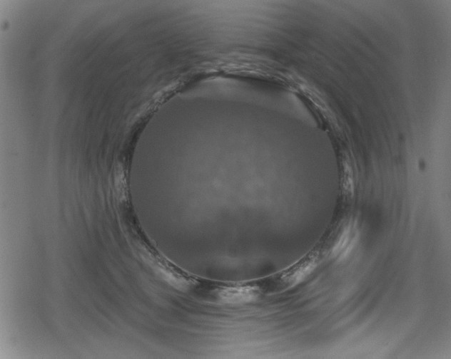 X0000078890465200611131234