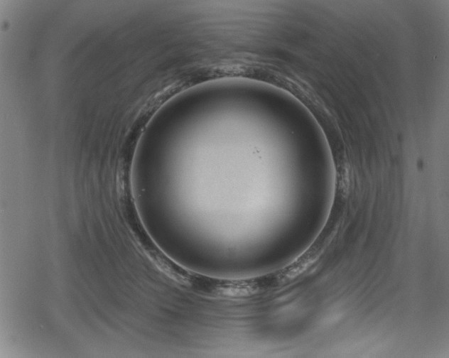 X0000078890466200611131234