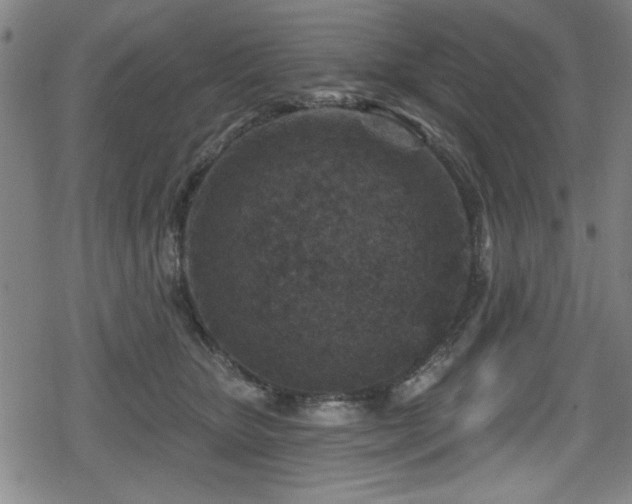 X0000078890467200611131234