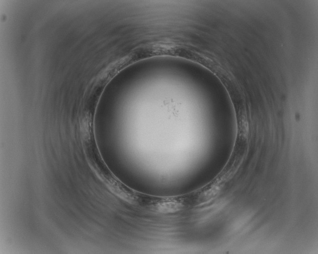 X0000078890468200611131234