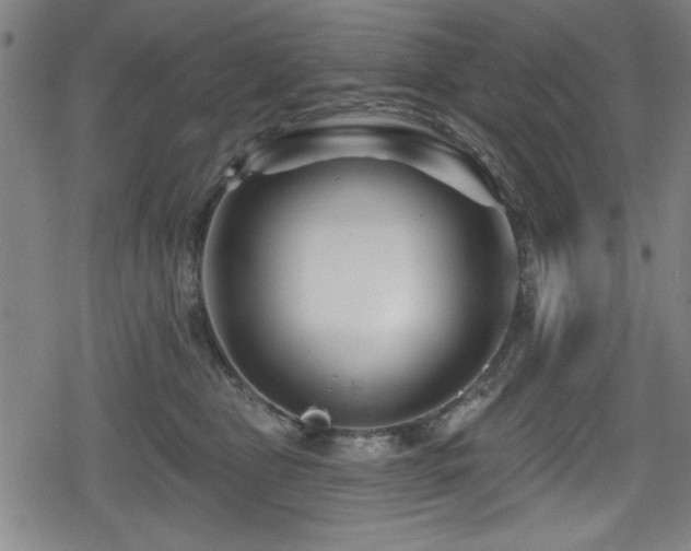 X0000078890469200611131234