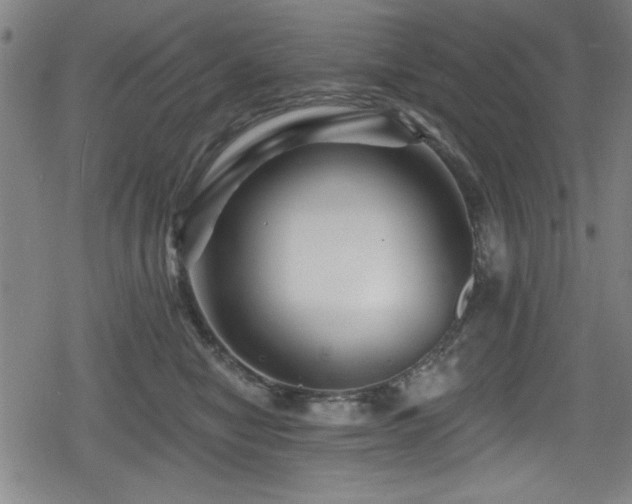 X0000078890470200611131234