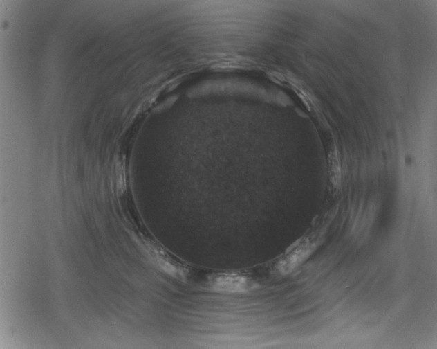 X0000078890471200611131234