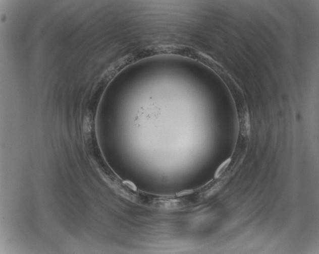 X0000078890472200611131234