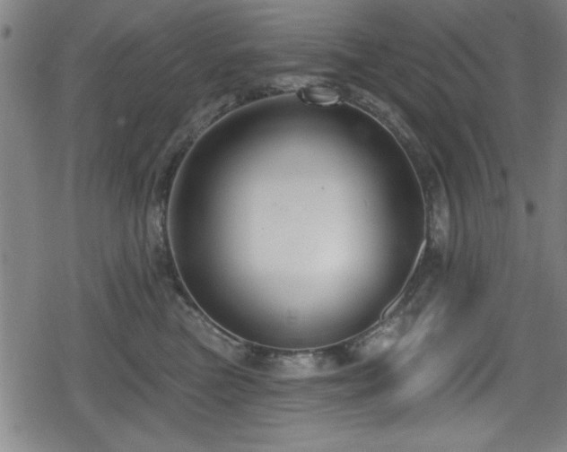 X0000078890473200611131234