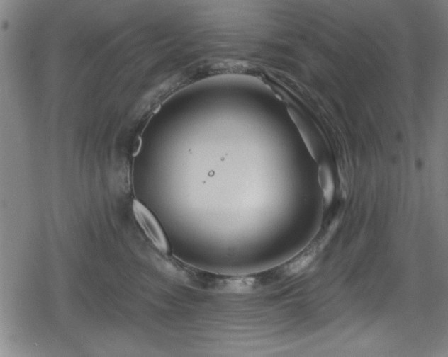 X0000078890474200611131234