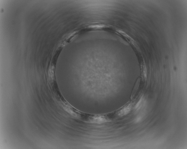 X0000078890475200611131234