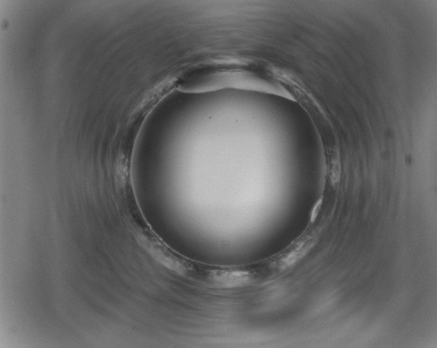 X0000078890476200611131234