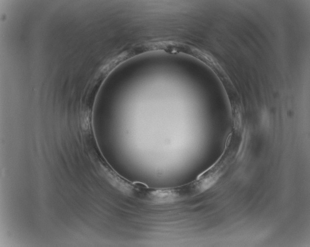 X0000078890477200611131234