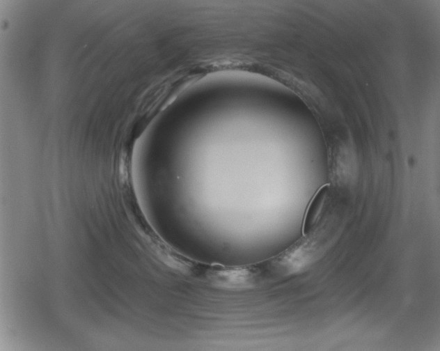 X0000078890478200611131234