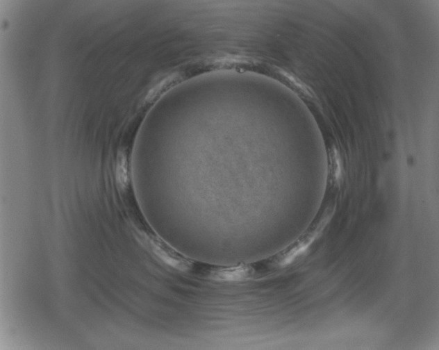 X0000078890479200611131234