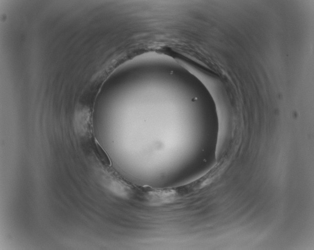 X0000078890480200611131234