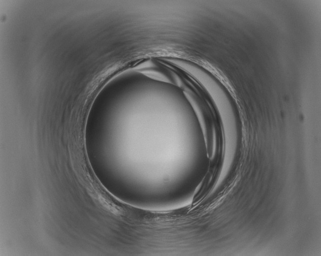 X0000078890481200611131234