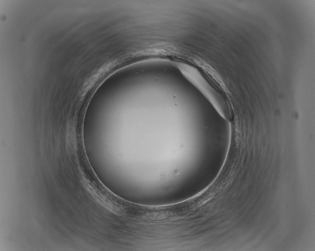 X0000078890482200611131234