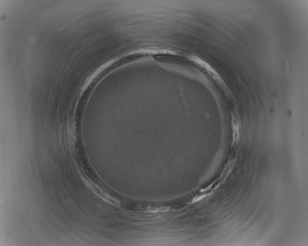 X0000078890484200611131234