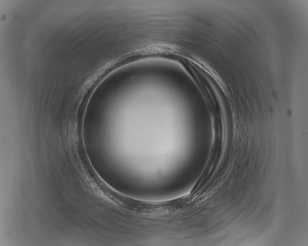 X0000078890485200611131234