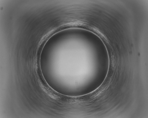 X0000078890486200611131233