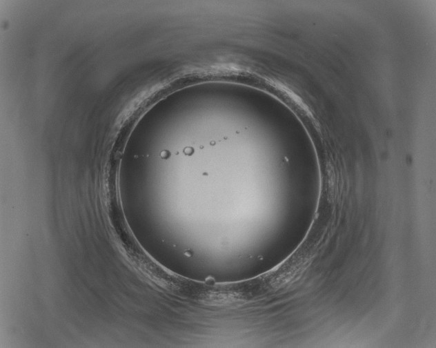 X0000078890487200611131233