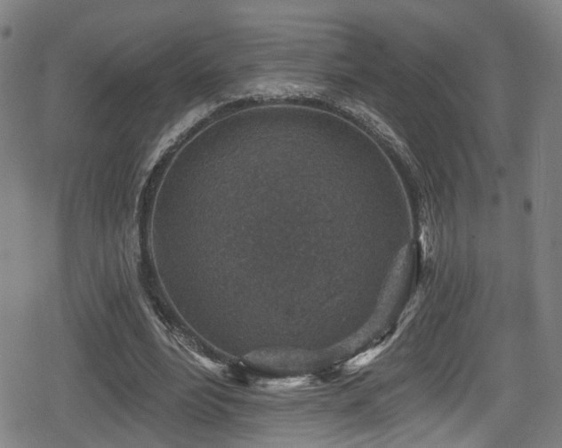 X0000078890488200611131233