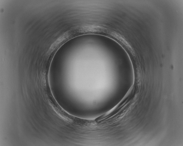 X0000078890489200611131233