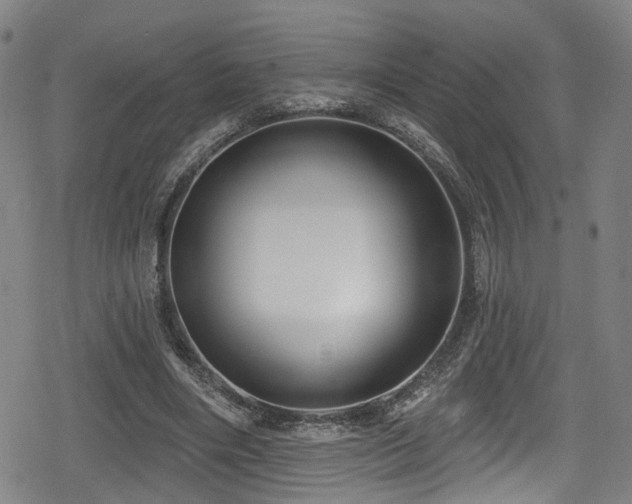 X0000078890490200611131233