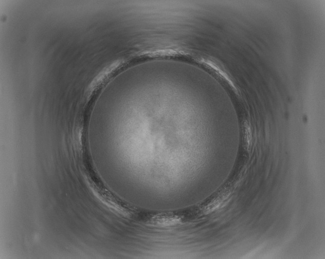 X0000078890491200611131233