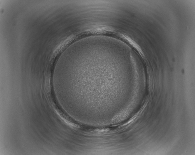 X0000078890493200611131233