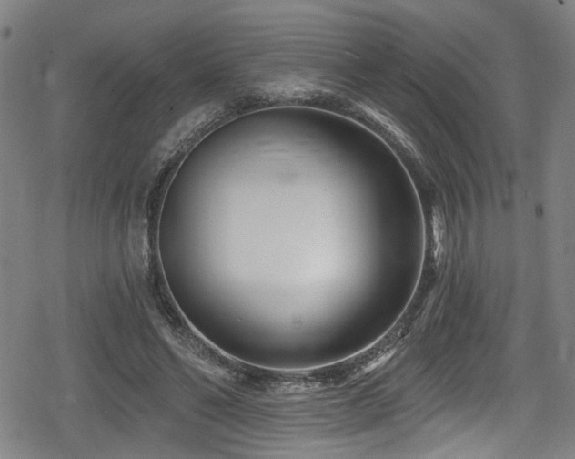 X0000078890494200611131233