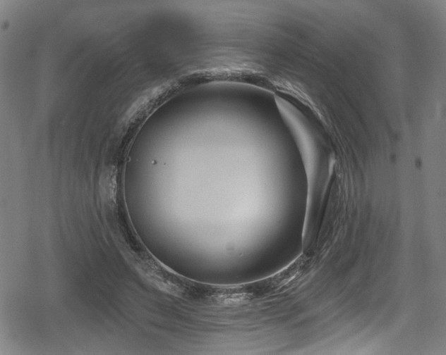 X0000078890495200611131233