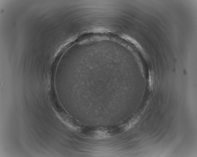 X0000078890496200611131233