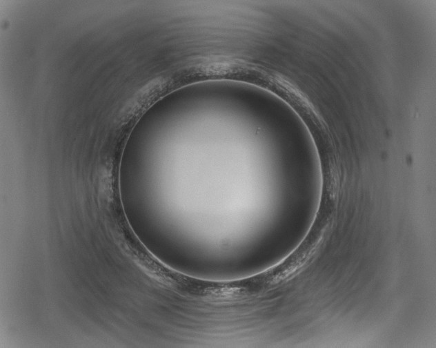 X0000078890497200611131233