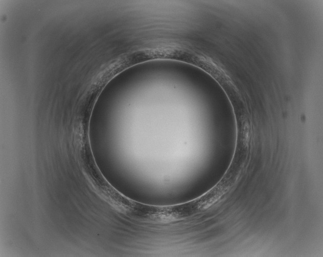 X0000078890498200611131233