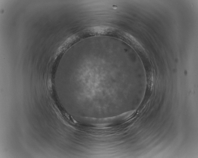 X0000078890500200611131233