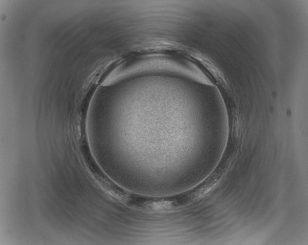 X0000078890501200611131233