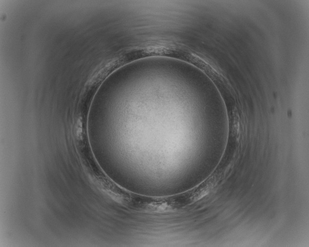 X0000078890502200611131233