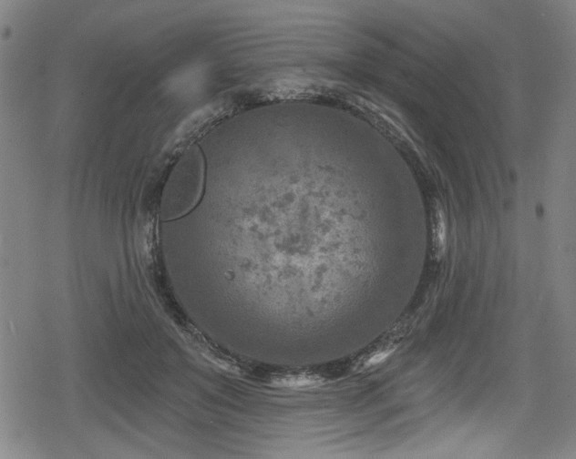 X0000078890503200611131233