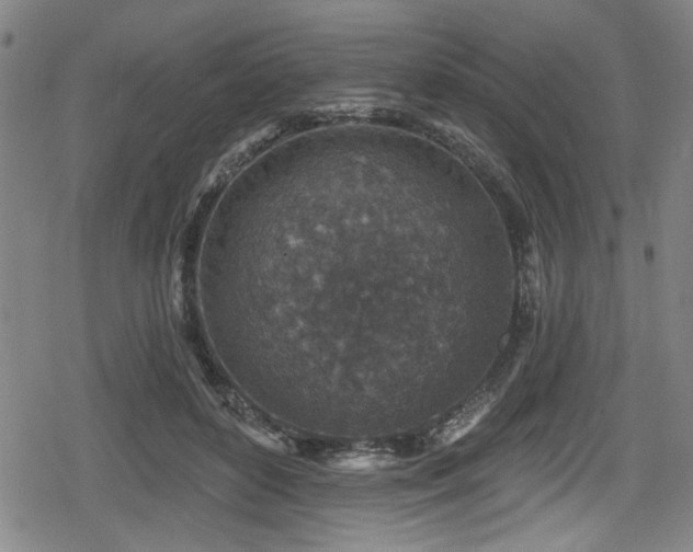 X0000078890504200611131233