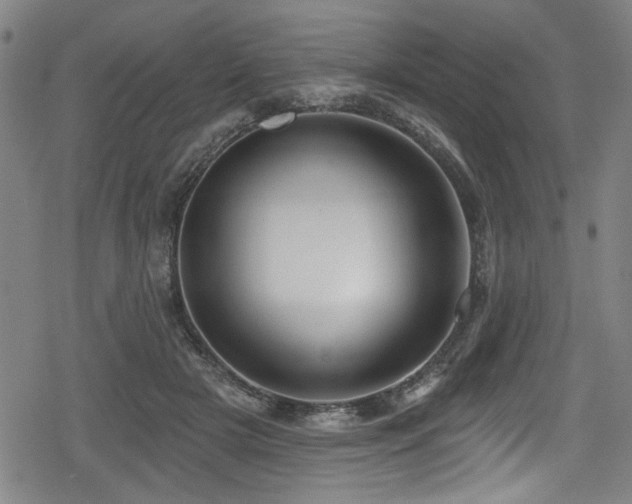 X0000078890505200611131233