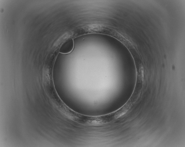 X0000078890506200611131233