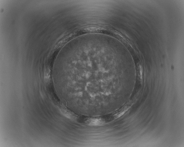 X0000078890507200611131233